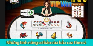 Khám phá luật chơi Bầu cua online và các tính năng hữu ích trong game